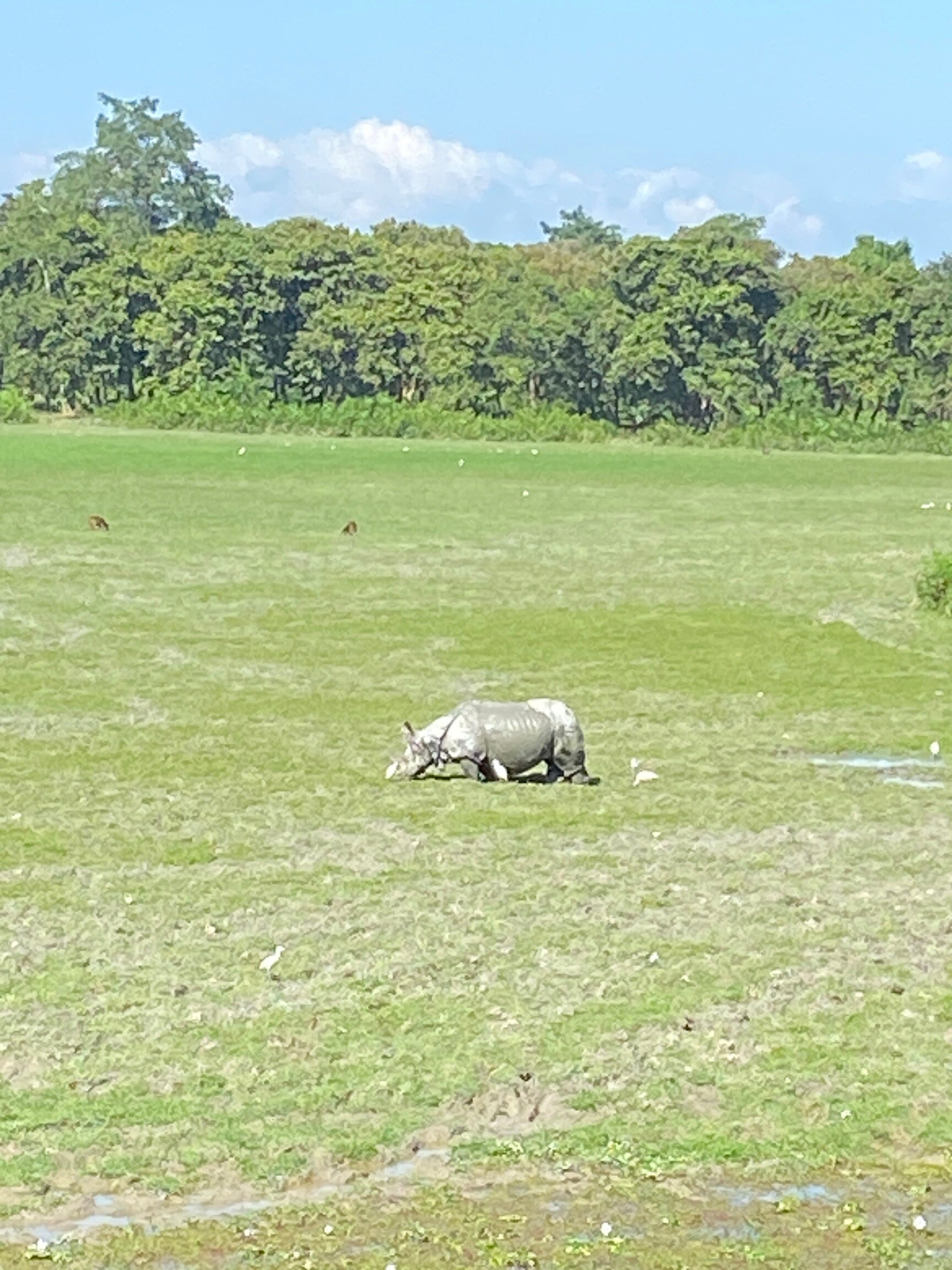 Taruna Travels Gallery