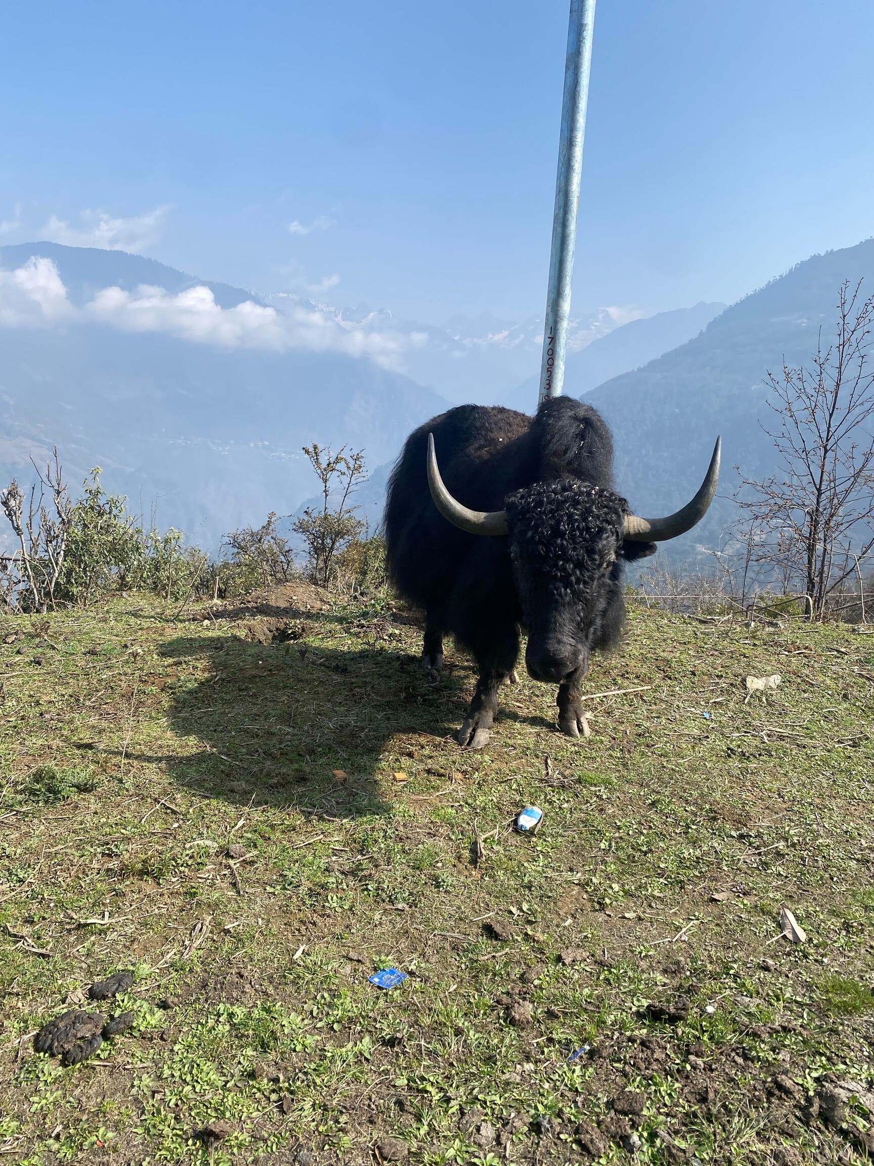 Taruna Travels Gallery