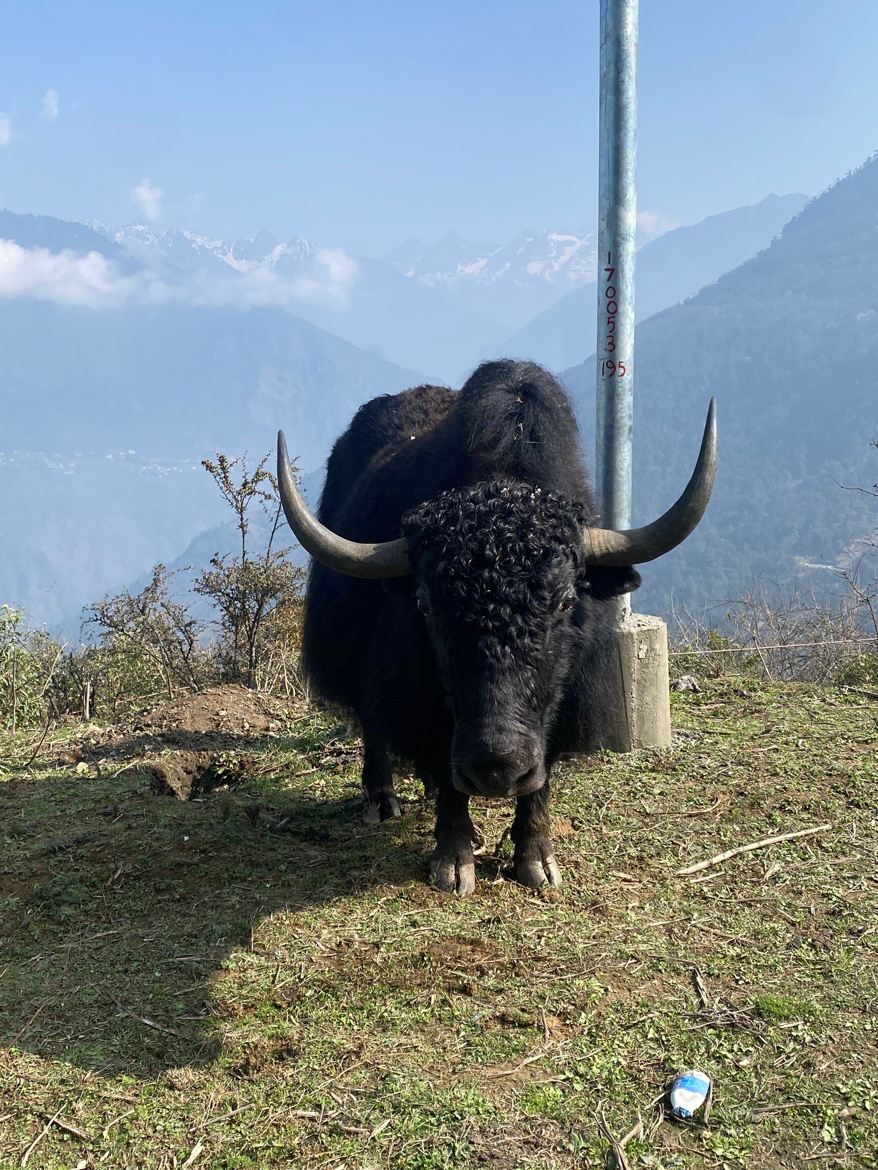 Taruna Travels Gallery